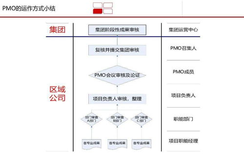 高效 龙湖 pmo 项目管理部 体系研究