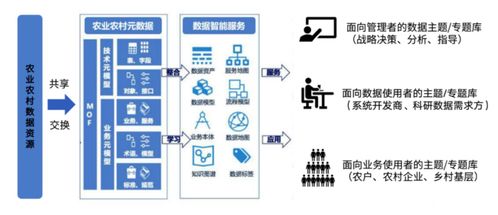 请问数字乡村的建设有没有啥成功例子了 有没有人知道